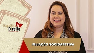 Explica Direito Filiação Socioafetiva  2019 [upl. by Ettenrahc500]