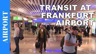 TRANSIT WALK AT FRANKFURT Airport FRA Terminal 1  Connection Flight Transfer Arriving amp Departing [upl. by Adniral]